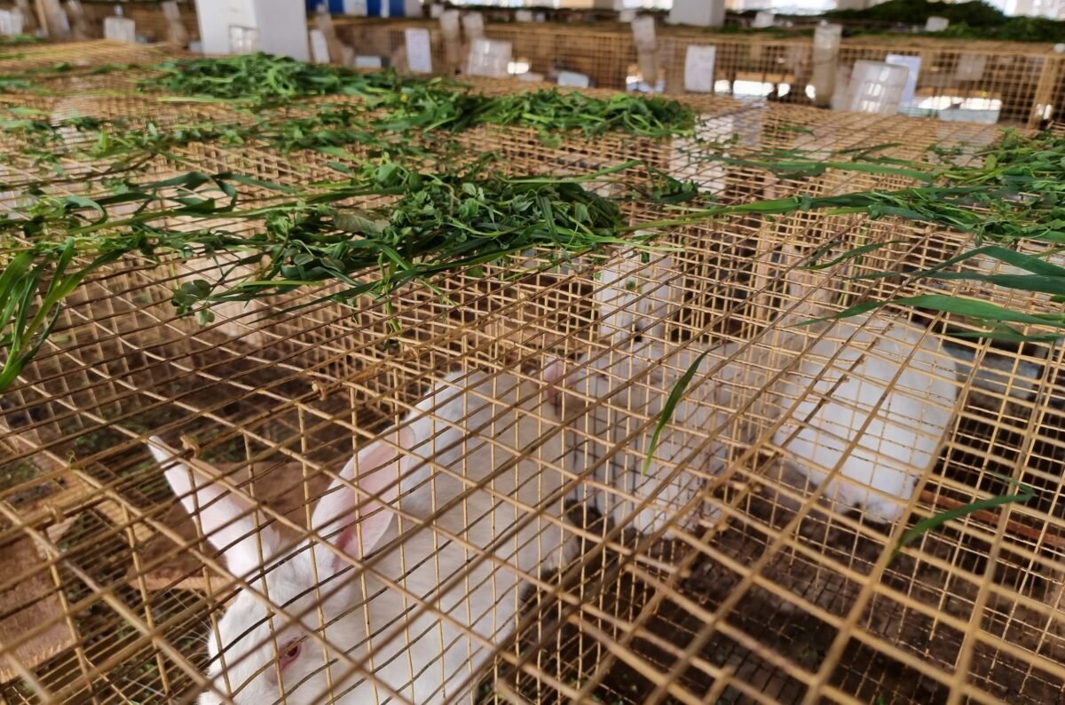 Training and Technical Support