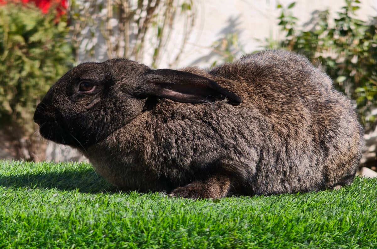 Nationwide Farmers Network