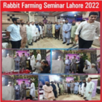 Screenshot 2026-02-13 123237