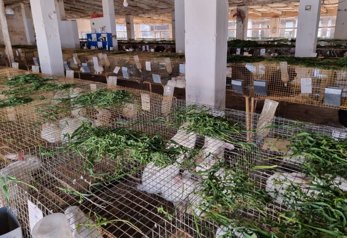 e6d1d53e-3c11-4531-896b-36483006d282